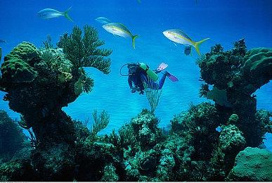 《灵媒》PS5版正式公布 9月3日发售